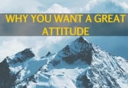 Mlm Tips For Beginners